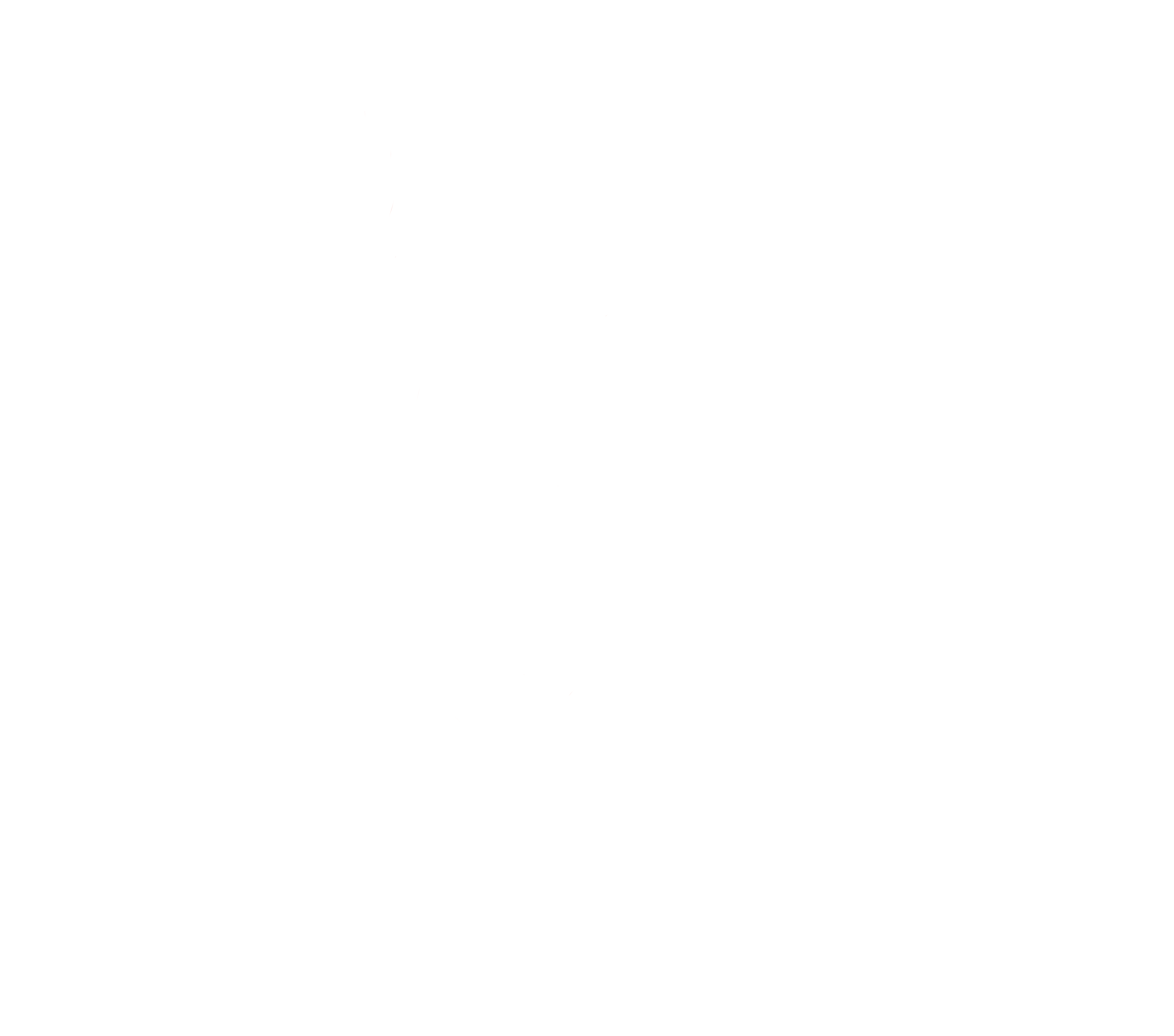 A white spiderweb with 2019 spelled out in the web and a spider hanging by a thread from the bottom right.